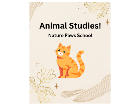 Animal Studies-Lesson 1