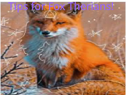 Tips for Fox Therians