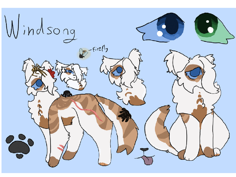 For @Sky557