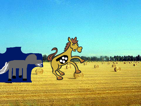Horse sim (Not finished)
