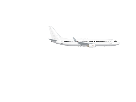 flight simulator