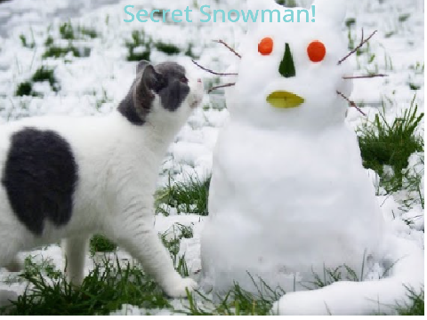 Secret Snowman-Signups (Cancelled)