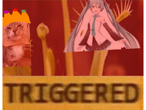 Uhhhh