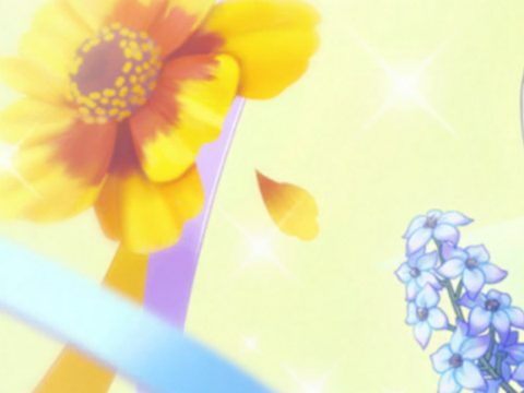 ⋆｡˚ ୨ ❁ ୧ ｡˚⋆