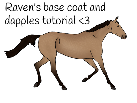 Tutorial! Dapples and base coat