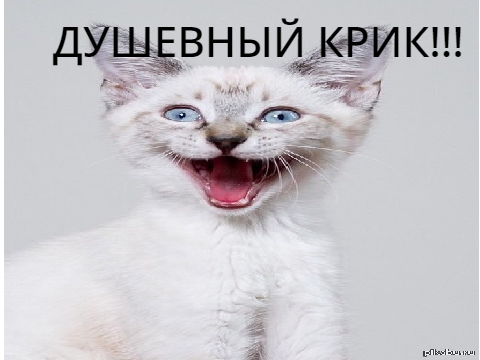 Каждый день одно и тоже