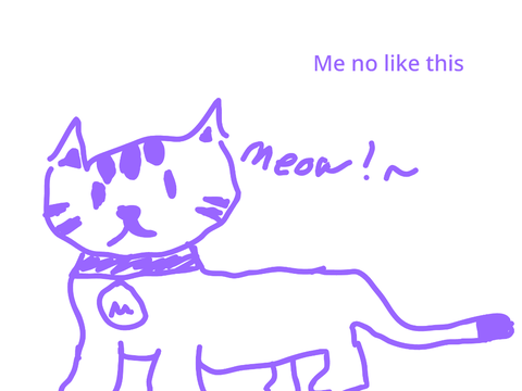 For anyone who likes cats