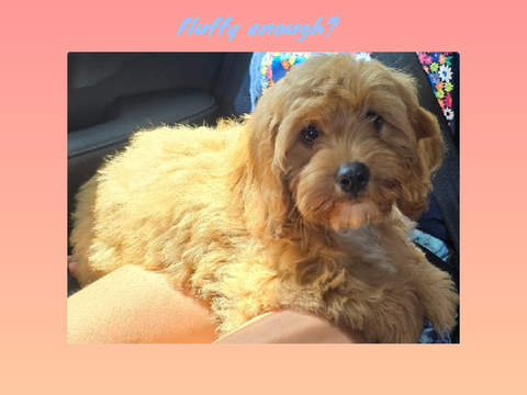 Milo