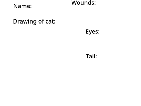 Warrior cat info of (your cat name)