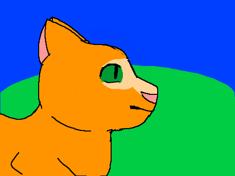 Test Animation