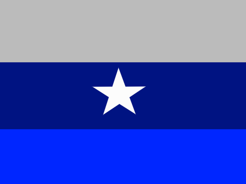 Flag of antartica and future(Pre)
