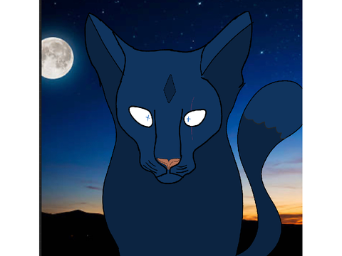 Night claw the deputy of +roseclan+