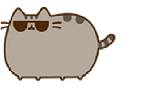 Hype Outro! remix (cat version)