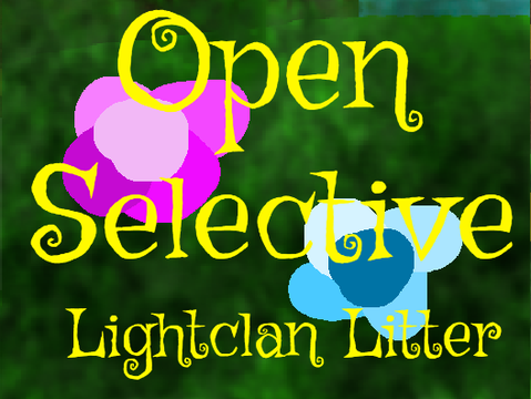 Snow, Flowers, Sun, and Trees ~ Open Selective Lightclan Litter