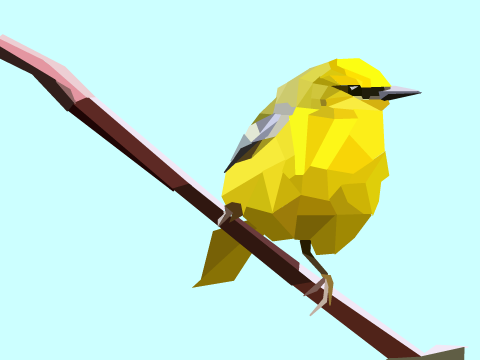 Trying Polyart (bird)