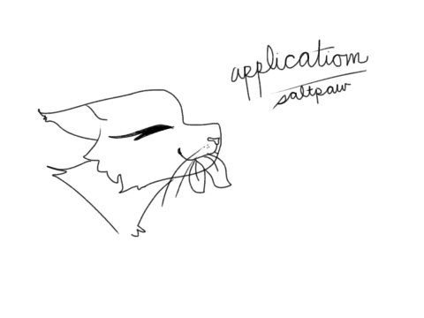 ✿ heather ; mca saltpaw application ✿