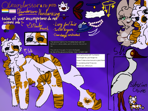 ★ I AM NOT MY FEELINGS … oleanderstar reference !!