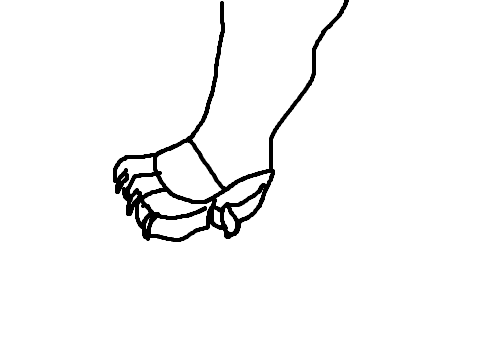 Animation
