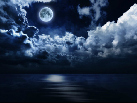 Night Sky