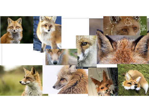Red Fox - Nature Paws Maskmaking: Lesson 1