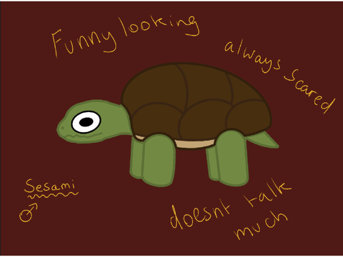 °Meet my turtle!!!° 