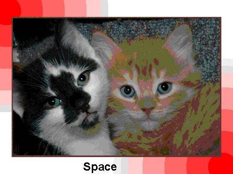 Kits