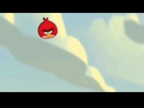Angry birds meme/piggy wall