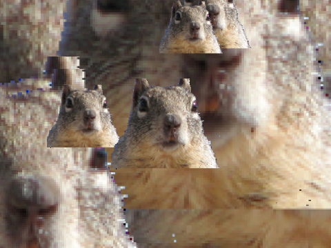 I am not squirrel.