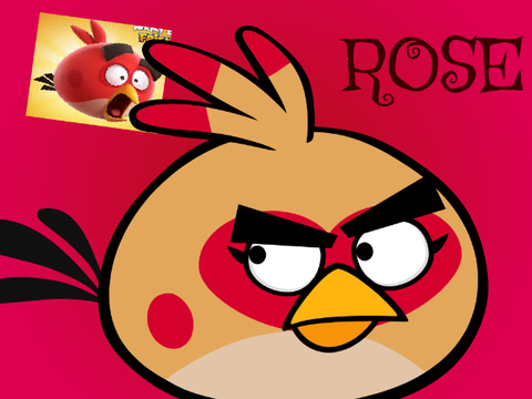 Rose Vectors (Girl Bird reimagining)