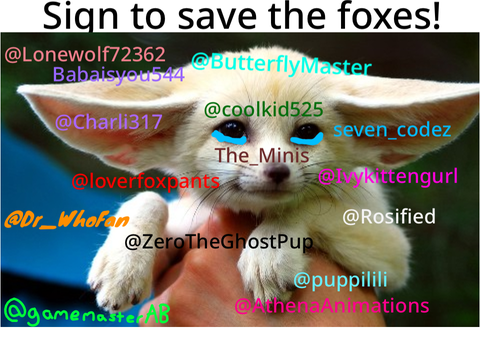 STOP HUNTING FOXES remix remix remix remix remix 7's remix... remix remix remix remix remix