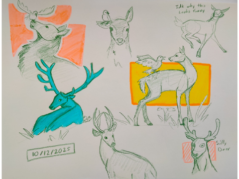 ◈ Random Doodle Dump ◈