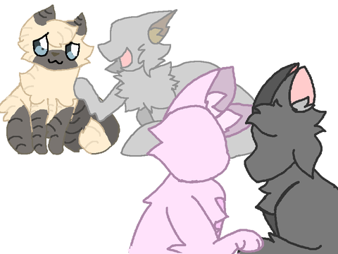 Yay WIP TNE
