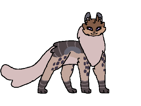 new ocs