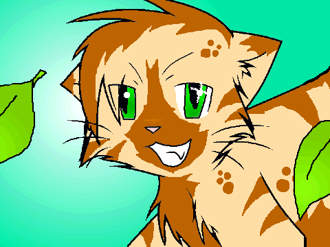 My Entry