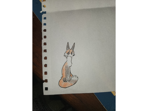Fox