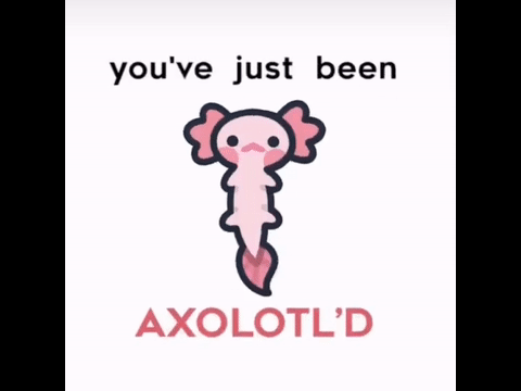 You've just been Axolotl'd remix remix remix remix remix remix remix remix remix remix remix … remix