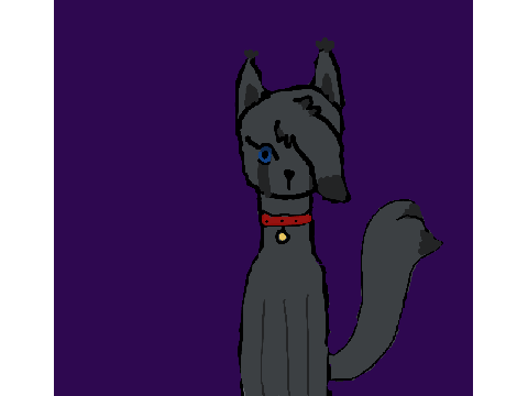 Luna (aka my older sister)
