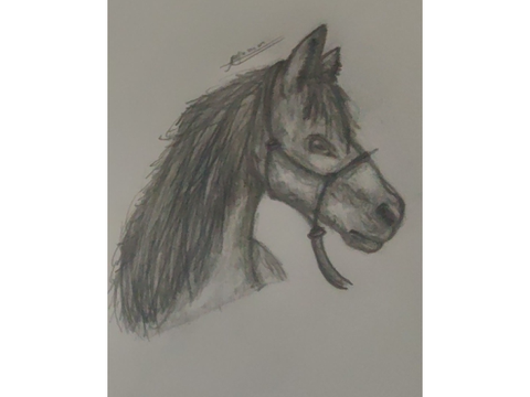 Traditional Art Dump