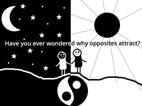 Why Opposites Attract (work in progess)