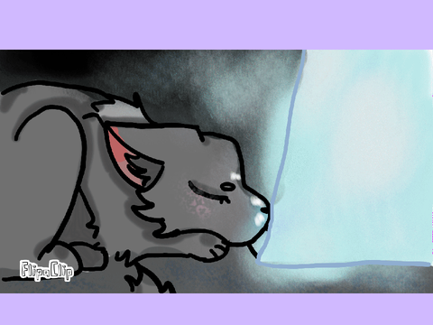 Part 8-Tightrope