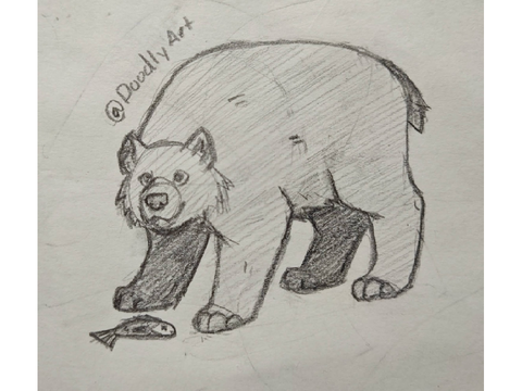 ◈ Quick Bear Doodle ◈ 