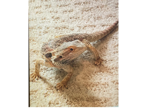 My best pics of Athena 