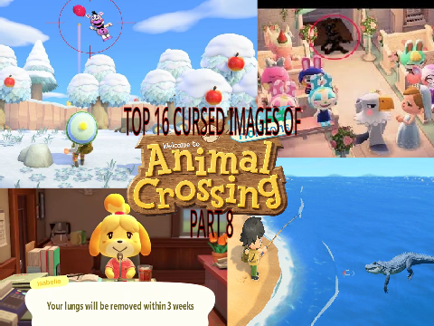 TOP 16 CURSED IMAGES OF ANIMAL CROSSING PART 8