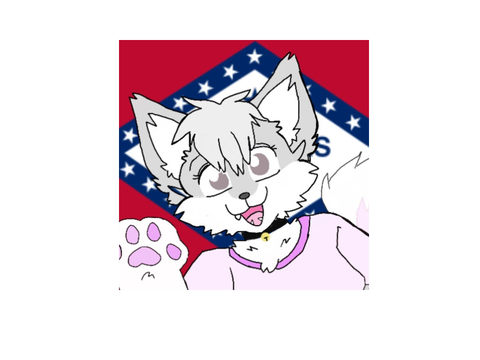 Arkansas Artic fox :3
