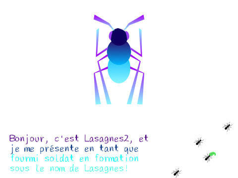 |Fourmi soldat|Lasagnes|Jeudi 23 octobre 2025|