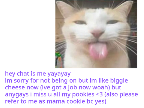 wsg chat 
