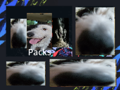 MAX PACKS