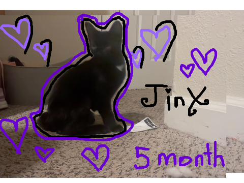 Jinxy Jinx <33333 my kitten :0