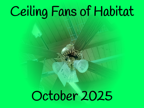 Ceiling Fans of Habitat - October 2025