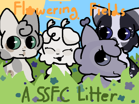 ❬Closed!❭ ˖✾ ݁˖ ❝Flowering Fields❞ ˖☘︎  ݁˖ A SS parented FlurryClan litter! ˖✾ ݁˖ 